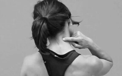 Transverse Process Continuum Distortion